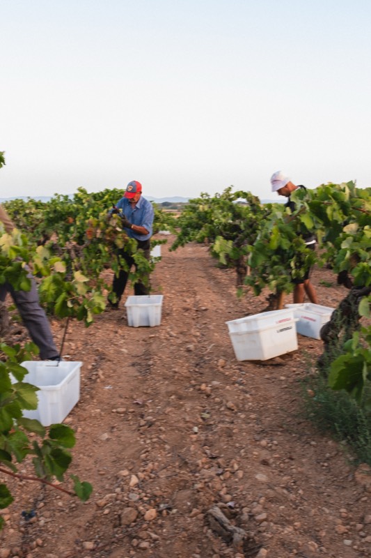 Noviembre