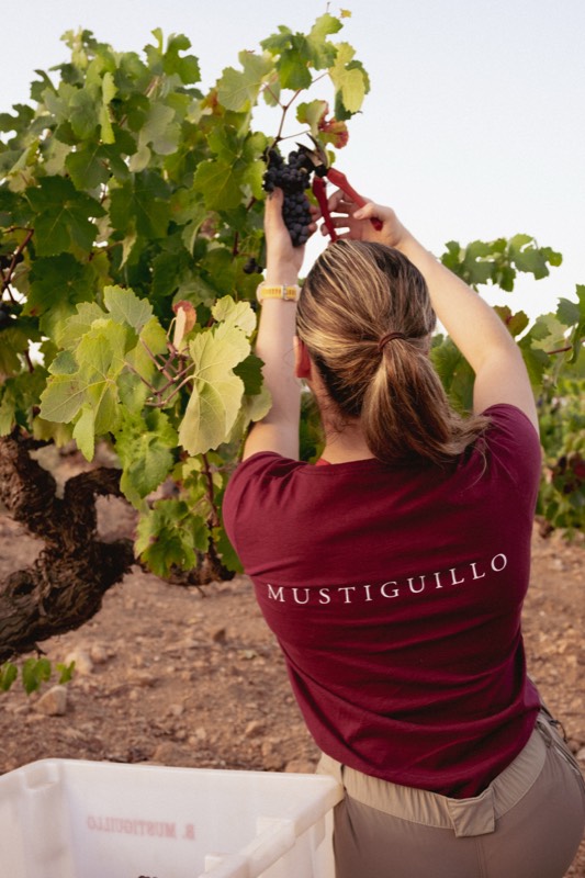 Madrid para tomar vino